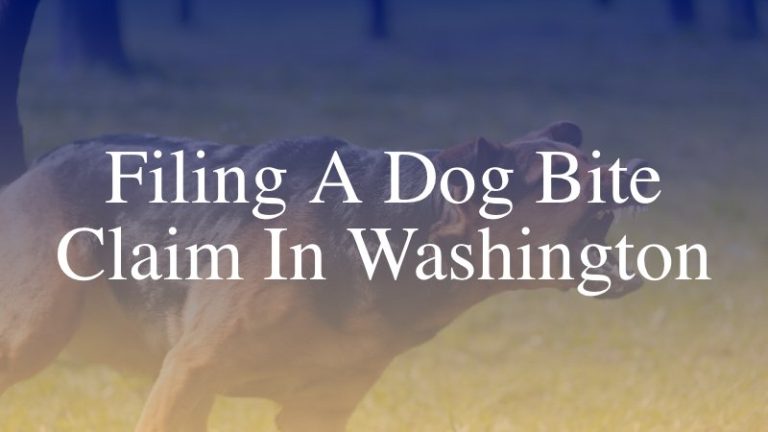 How Can Insurance Factor into a Dog Bite Lawsuit in Washington?